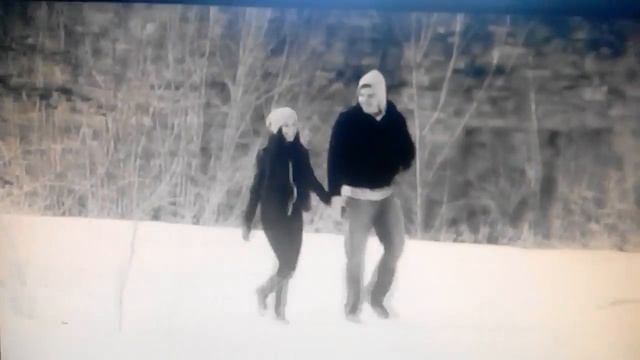 энцефолопитеки