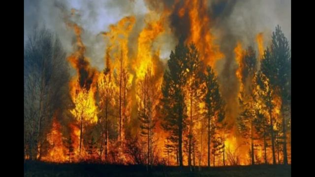 "Сказка о воде, самом чудесном чуде на Земле". смотреть онлайн