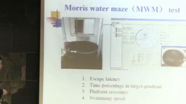 Tao Zhang, "Effect of external stimuli of neuronal oscillation patterns in rats" смотреть онлайн