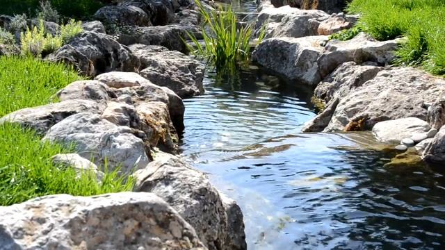 The murmur of water and the singing of birds.