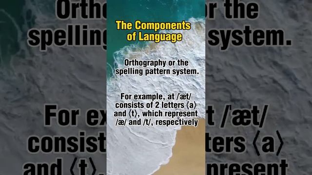 The Components of language #orthography #lexicology
