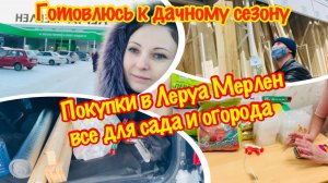 Начинаю подготовку к дачному сезону/Покажу какие семена купила/Какие петунии украсят наш сад?