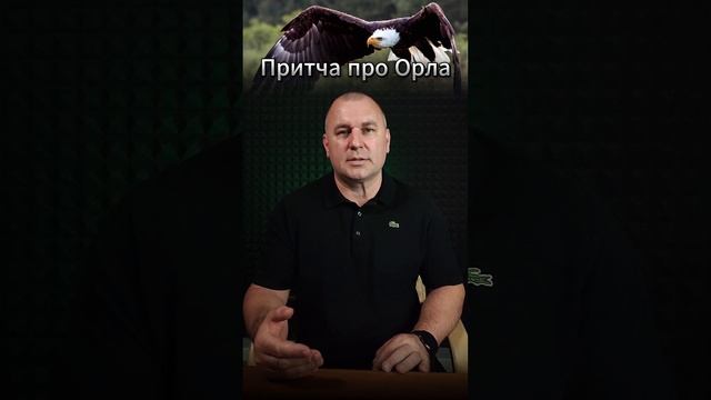 Интеллект Клуб #психология #бизнес #философия смотреть онлайн