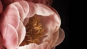 Трогательное поздравление с Днем Матери - Мама Поздравляю