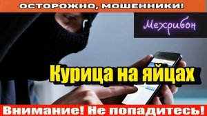 Мошенники звонят по телефону _ Доступ к госуслугам.