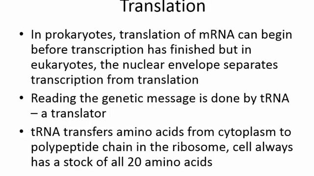 Bio 101 Lecture 12 DNA replication, reading genes смотреть онлайн