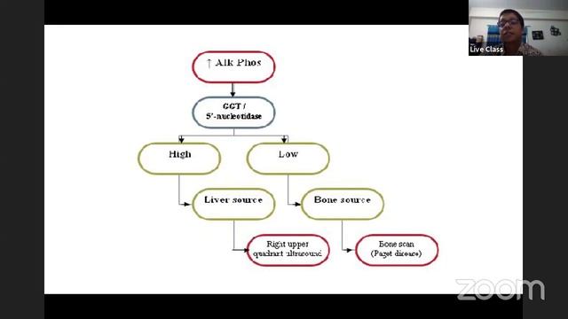Approach to Jaundice and Interpretation of Liver Function Tests смотреть онлайн