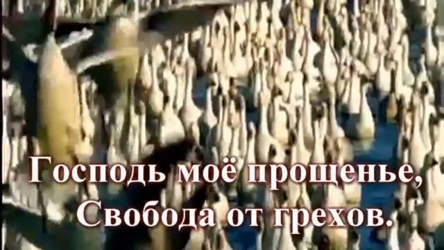 +Господь моя победа+ смотреть онлайн