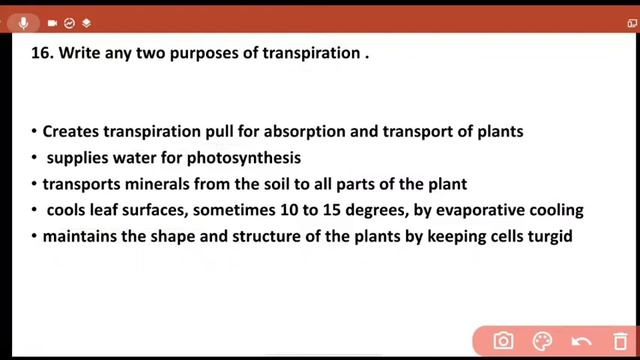 Plus One Botany Model Exam Answers with explanation in Malayalam Plus one botany revision #focusare