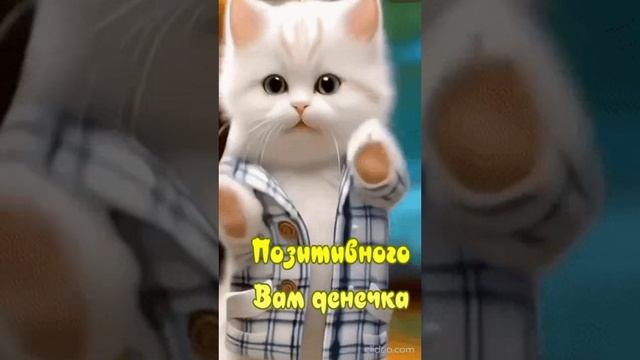 ПОЗИТИВНОГО ВАМ УТРЕЧКА. Shorts