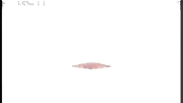 RCTI Djarum Black Mild 23 15 Power Blend смотреть онлайн