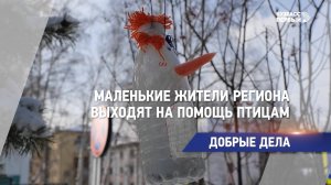 Маленькие жители региона выходят на помощь птицам