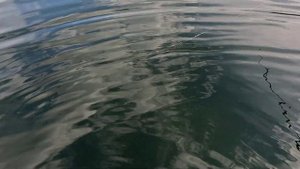 Рыбалка на Медвежьем озере