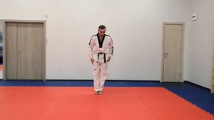Удары в тхэквондо руками для сдачи 9 гып(жёлтая полоска).стойки
