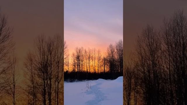 Зима уходит,невероятные закаты остаются #жизньвдеревне #деревенскаяжизнь #2024 #закат смотреть онлайн