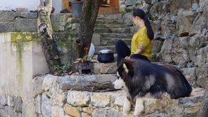 「一席一果」柠檬——水果入菜的鼻祖，一口酸爽的味蕾刺激【滇西小哥】