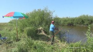 ОГОРОМНЫЕ КАРАСИ В СЕКРЕТНЫХ МЕСТАХ