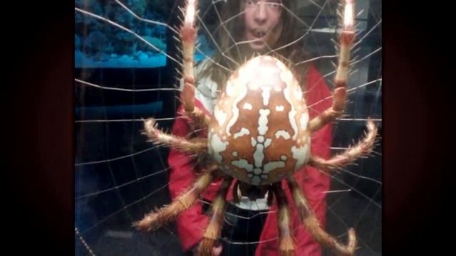 Movements of a Vision - Veronika in Berlin смотреть онлайн