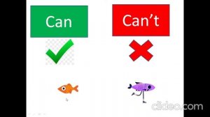 Fly, jump, run, swim - most common English verbs in 5 minutes!