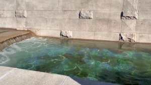 Гуляем с детьми по Красной площади!😃👍🔥