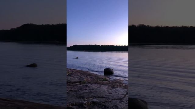 Вечер на острове с палатками 🏕️ #туризм #выходные #отдых #палатки #природа #ладога #остров #озеро смотреть онлайн