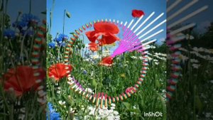 ТУЁНА/ Файзали Умар