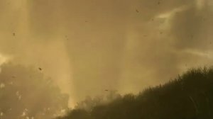 FS25 Gamescom Trailer Official I Farming Simulator 25 #farmingsimulator25  #fs25 #farming