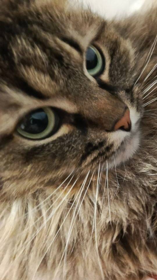 Обзорчик на Забаву смотреть онлайн