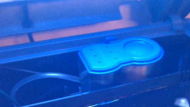 sera cube 130 mit aqua medic blue 500 abschäumer смотреть онлайн