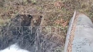 Благоустроенную за 150 миллионов рублей городскую реку отравили неизвестными химикатами