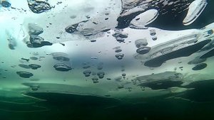 7.04.18. Погружение под лед. Ice diving. ПОДВОДНАЯ СЪЁМКА.(2)