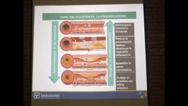 Sábado Casa Loyola oportunidad 7 enero 2017 смотреть онлайн