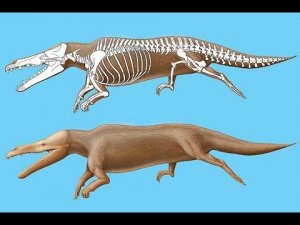 Сухопутные киты. Пути Эволюции