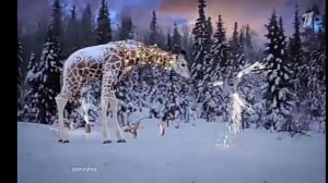 Новогодняя заставка "Первого канала" "Жираф, белки и фейерверк-круг" (2023-2024)