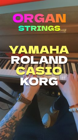 🎹 Organ | Strings #yamaha #roland #casio #korg #organ #piano #digitalpiano #фортепиано