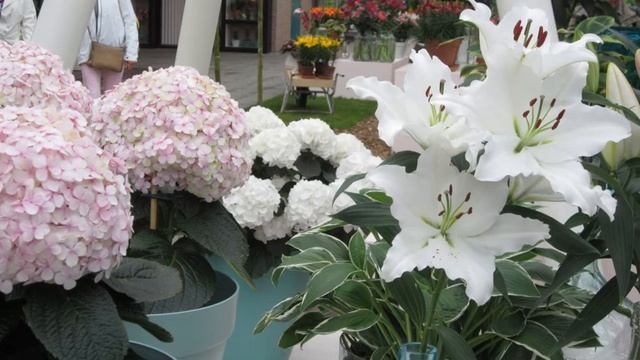 Эстер Рид. Глава 7. На вокзале. смотреть онлайн