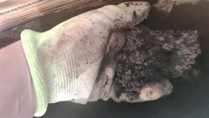 Какой грунт выбрать для грядок? Какие удобрения добавляют в грунт?