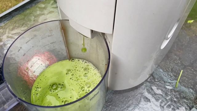 Fresh Green Juice Recipe (The Great Green!) The Benefits of Green Juice смотреть онлайн