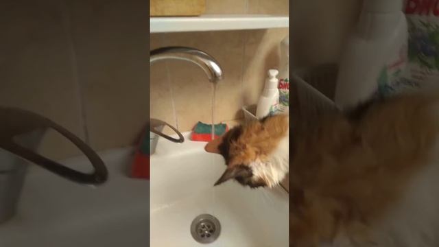 Как всегда где вода там и она смотреть онлайн