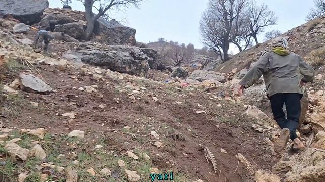 Rescue mission or relationship problems? Tayyabas candidate is facing difficult choices