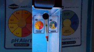 Does it suck? Seachem pH alert & Ammonia alert