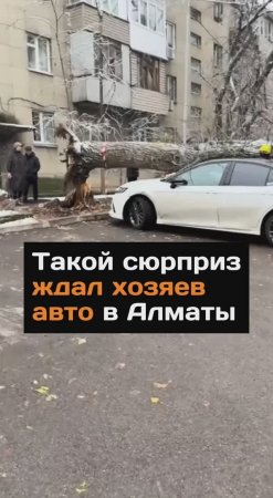 Такой сюрприз ждал хозяев авто в Алматы