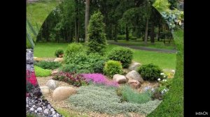 Рокарий - сочетание камней и растений, основа малоуходного сада 🌳🌹🪻красивые идеи