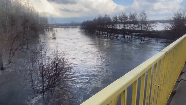 Речка выходит из берегов #water #рекомендации смотреть онлайн