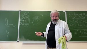 Теория функциональных систем П К Анохина 1
