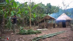 Building New Life- Build a House For Wild Chickens, Build Big Farm, Green Forest Life | Ep.21