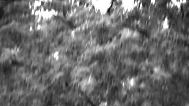 Безысходность