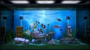 Aqua TV: интерактивный аквариум на Wii U