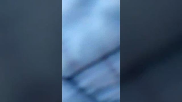 Качаем воду смотреть онлайн