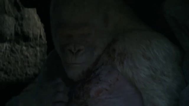 Я получил сообщение, что там с Джорджом? | Рэмпейдж (2018) смотреть онлайн